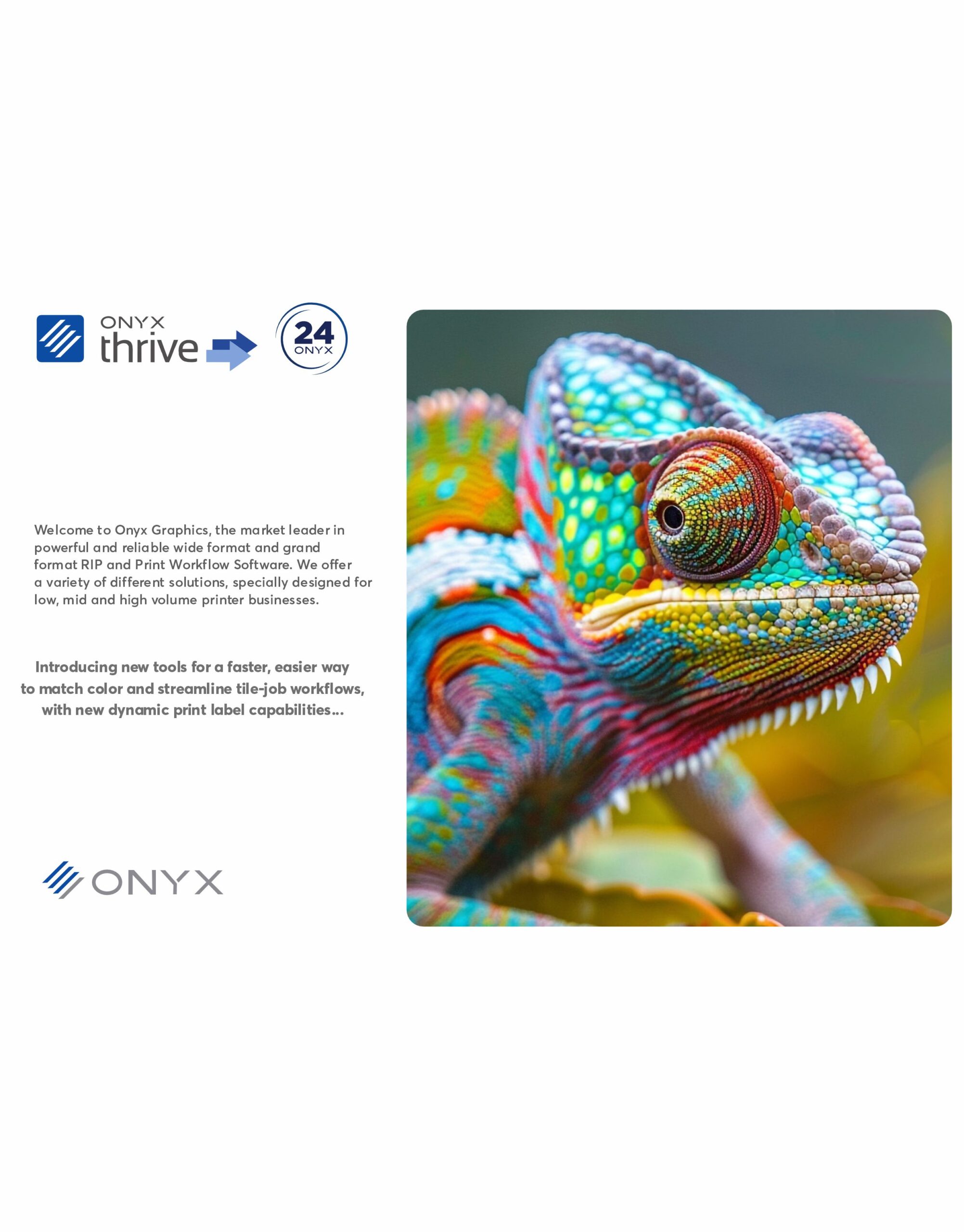 ONYX Thrive 24 2