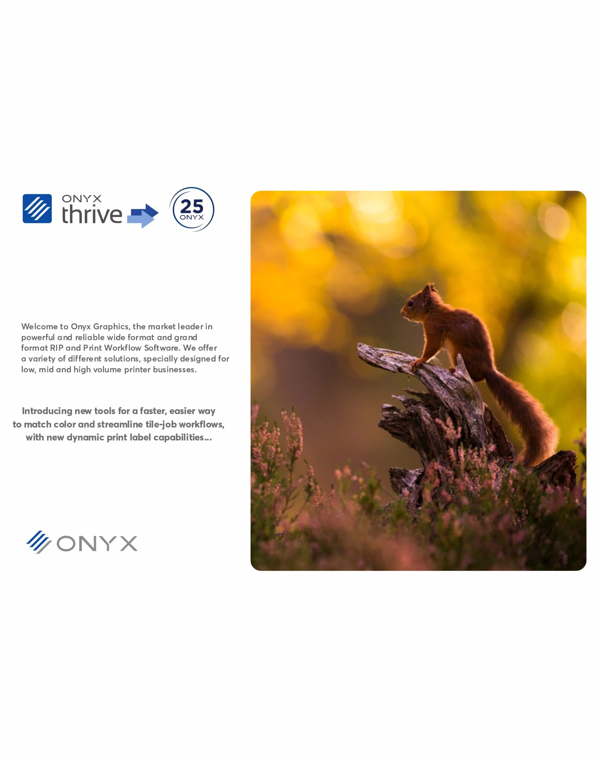 ONYX Thrive 25 2